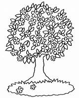 Baum Ausmalen Malvorlagen Malvorlage Kostenlos Ausdrucken Besten Blühender Bäume Kindern Bluehender Baeume Frühling Coloring Blumen sketch template