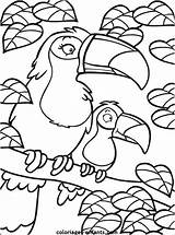 Coloriage Perroquet Animaux Imprimer Magnifique Coloriages Rousseau Douanier Brasilien Lunatique Enfant 2028 Forêt Perroquets Cher Buch Bastelideen Ostern Rubrique sketch template