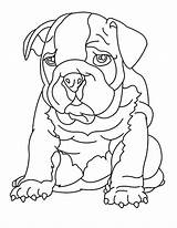 Bulldog Coloring Pages Drawing Cute Color Place Comments Getdrawings sketch template
