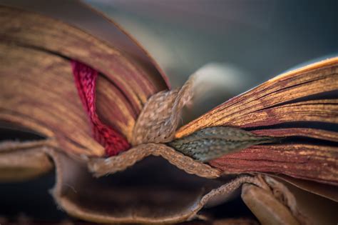 macro old books wallpapers hd desktop and mobile backgrounds