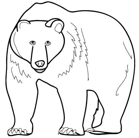 cute polar bear coloring pages  getdrawings