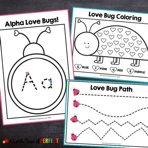 love bug valentine worksheet activity pack   pinch  perfect