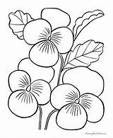 Coloring Pages Printable Flowers Flower Sheets Color Pansy Drawings Kids These sketch template