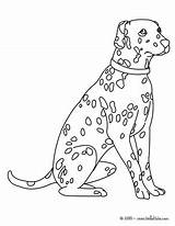 Dalmatien Chien Chihuahua Dalmata Hellokids Dalmatian Perros Perro Ausmalen Coloriages Dalmatiner Magique Firefighter Colorie Joli Cachorro Endormi Dalmatas Preschoolers Getcolorings sketch template