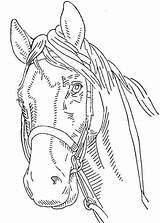 Coloring Patterns Wood Burning Pages Horse Embroidery Tracing Pyrography Vintage Pattern Designs Beginners Printable Stencil Cross Western Shop Diy Result sketch template