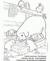 Animal Pigs Becuo Everfreecoloring Desenhos Babbies Visitar Letscolorit sketch template