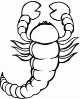 Coloring Pages Scorpion Printable Scorpions Kids Drawing Getdrawings Bestcoloringpagesforkids Popular Categories sketch template