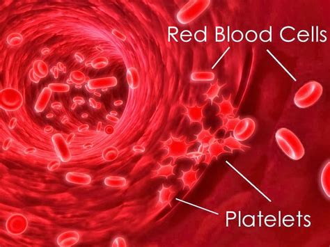 sante pure barley blood platelets