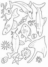 Fische Ausmalbilder Ausdrucken sketch template