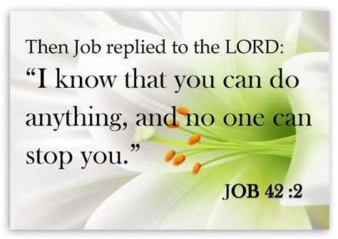 Job 42 1 Then Job Replied To The Lord 2 “i Know That You Can Do