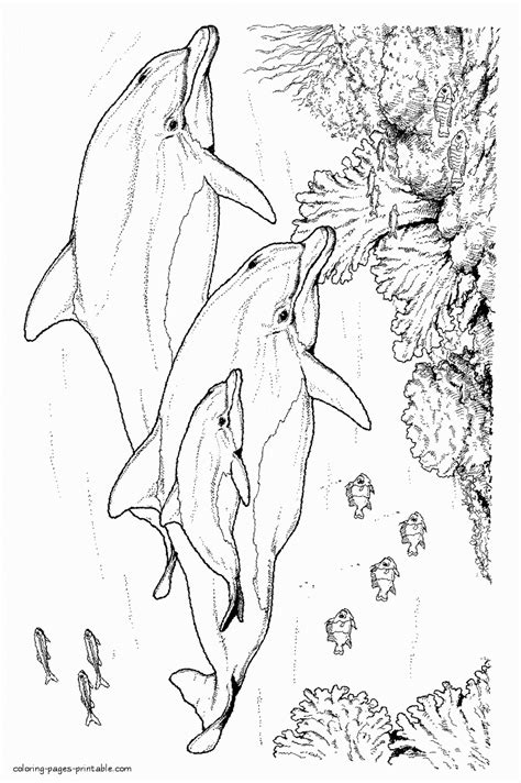 sea animals  kids coloring pages coloring pages printablecom