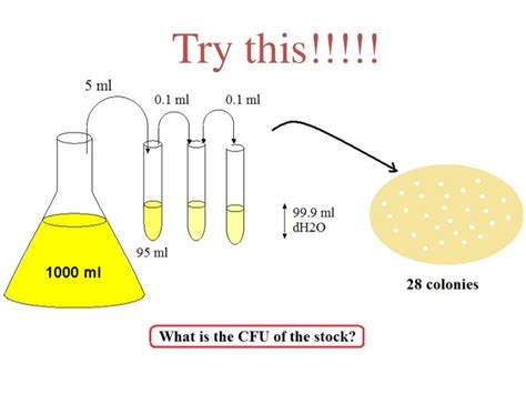 techniques  serial dilution fasrvs