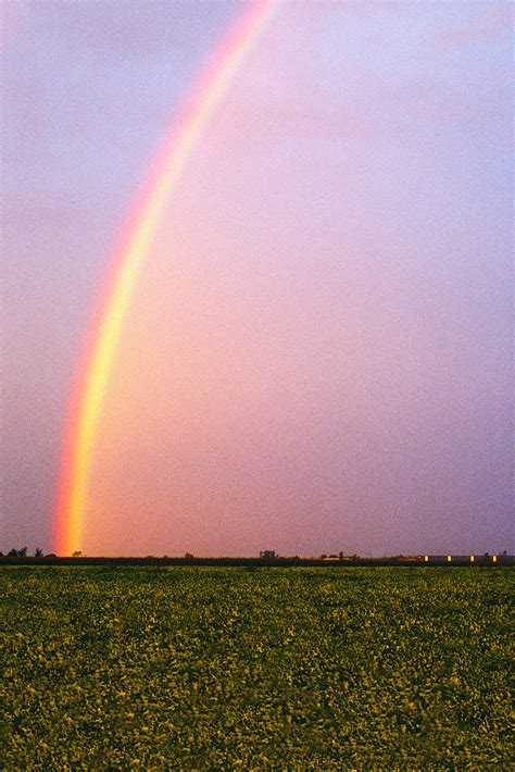 rainbows  standrewsealingurc