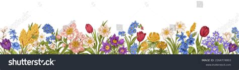 floral border background spring gentle flowers stock vector royalty