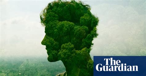 visualising sustainability in pictures guardian sustainable