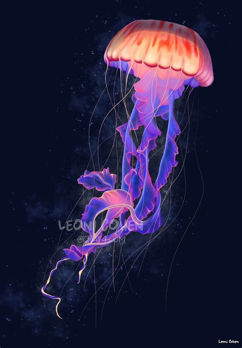 leoni cohen shop redbubble jellyfish painting jellyfish art