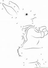 Rabbit Peter Dot Dots Connect Worksheet Printable sketch template