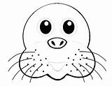 Seal Animals Coloring Pages Printable sketch template
