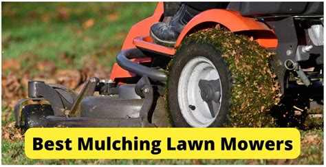 mulching lawn mowers   reviews