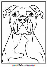 Terrier Staffordshire Bull sketch template