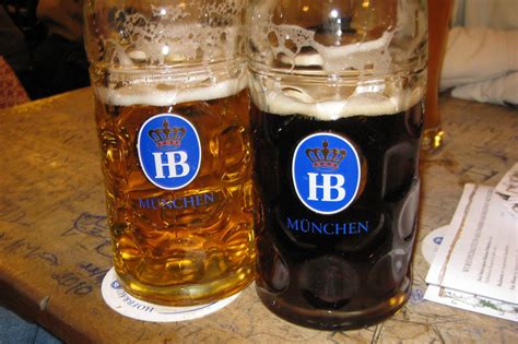 beer hall throwdown  munich hofbrauhaus  augustiner  open