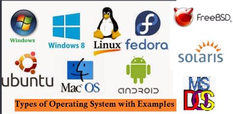 explain  types  operating systems  examples