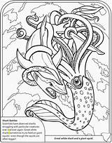 Coloring Pages Shark Squid Cuttlefish Sharks Sheets Publications Dover Witch Inspirational Lovely Fresh Adult Books Book Colouring Divyajanani Welcome Ocean sketch template