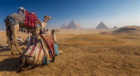 highlights  egypt   week  giza cairo luxor aswan  abu simbel egypt key tours