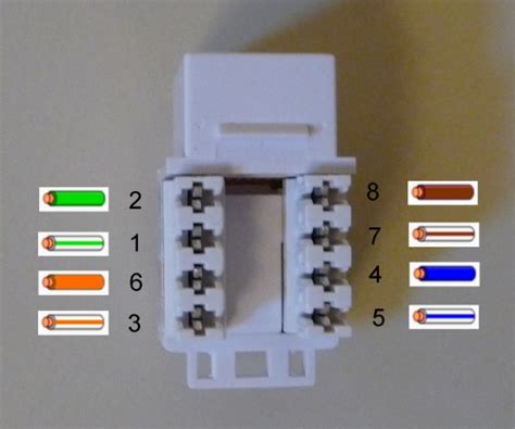 deta cat wiring diagram