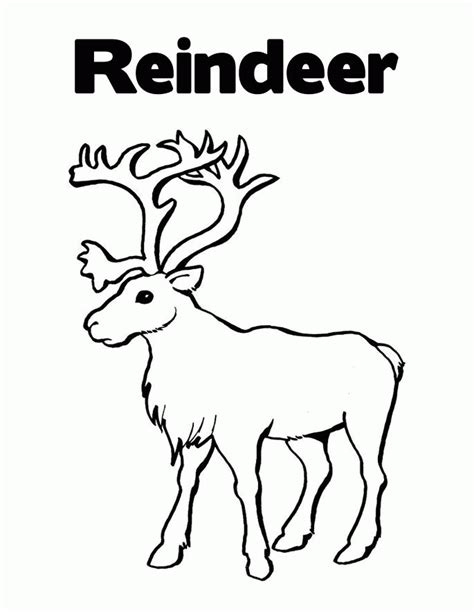 reindeer head coloring pages   reindeer head coloring