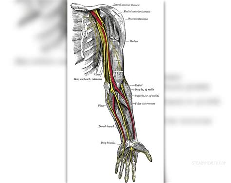 chronic pins and needles musculoskeletal issues articles