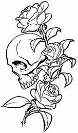Vando Skulls Plantillas sketch template