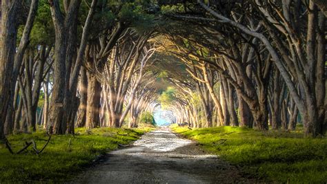 signs   walking  highest path   purpose