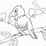 Coloring Parrot Branch Pages Mau Tranh Vật Cho Lineart Color sketch template