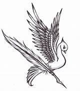 Feather Drawing Bird Birds Deviantart Drawings Wings Ketra Ir Login sketch template