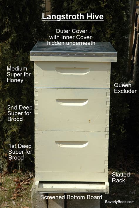 Parts Of A Beehive Beginner Beekeeper S Guide