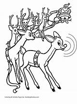 Reindeer Rudolph Coloring Pages Red Nosed Other Nose Template Meets Santa Christmas Reindeers Templates Print Holiday Hard Story Comments sketch template