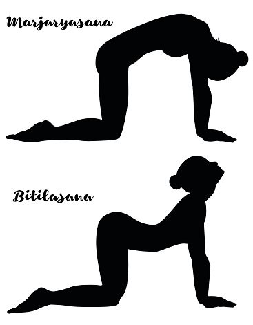 ilustracion de silueta de las mujeres postura de yoga de vaca