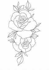 Px Rosas sketch template