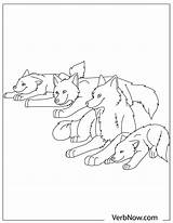 Wolves Verbnow sketch template