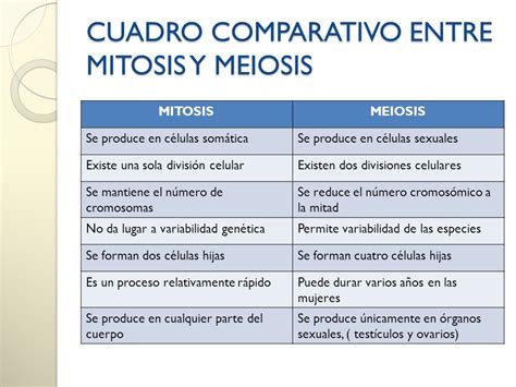 Diferencia Entre Mitosis Y Meiosis Cuadros Comparativos E