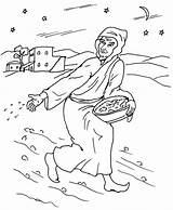 Coloring Pages Parable Parables Bible Jesus Getdrawings sketch template