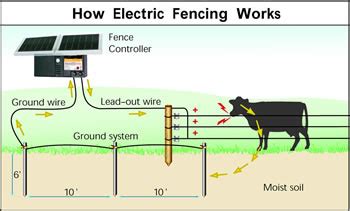 properly grounding  electric fence gallagher fence