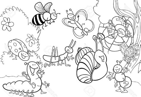 image result  insect pictures  color bug coloring pages insect