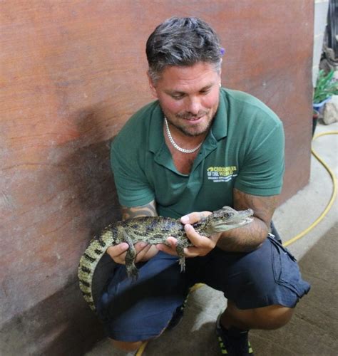 bristol reservoir croc  safe  zoo crocodiles   world