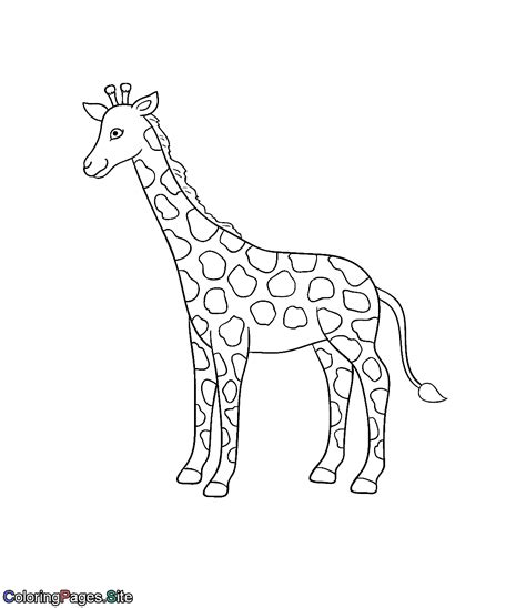 coloring page  giraffe  popular svg design