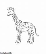 Coloring Giraffe Posters Tutorial Name Buy Online sketch template