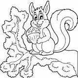 Coloring Squirrel Animals Tree Pages Surfnetkids Next sketch template
