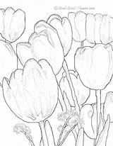Coloring Pages Tulip Kids Color Printable Flower sketch template