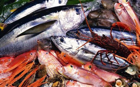 verse vis vishandel schong